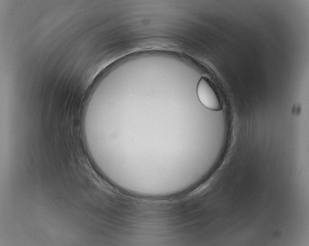X0000110861065200906180940