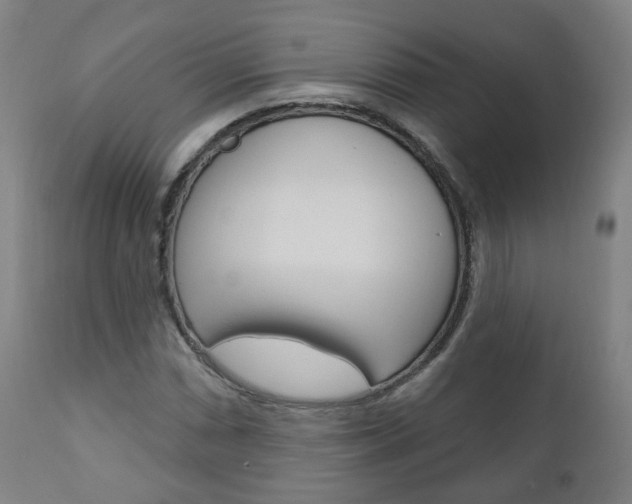X0000110861066200906180940