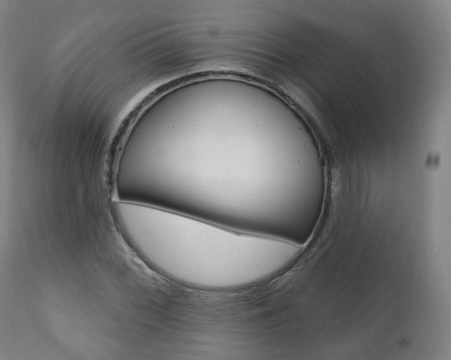 X0000110861068200906180940