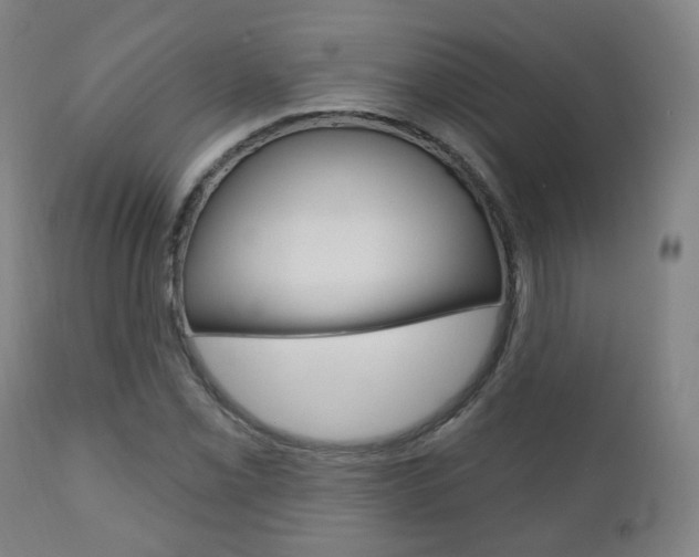 X0000110861069200906180940