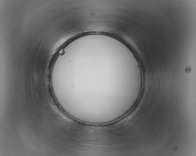 X0000110861071200906180940