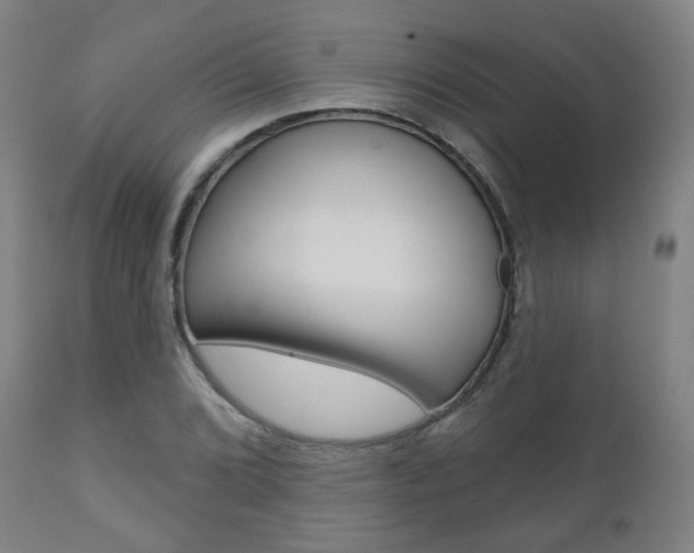 X0000110861072200906180940