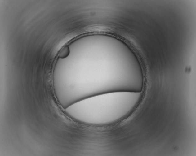 X0000110861073200906180940