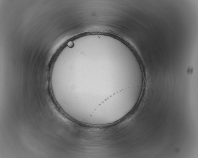 X0000110861075200906180940