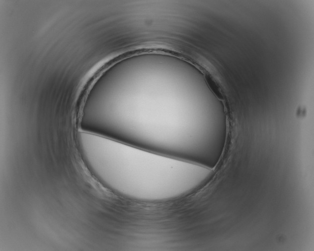 X0000110861076200906180940