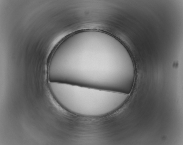 X0000110861079200906180940