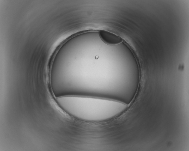 X0000110861080200906180940
