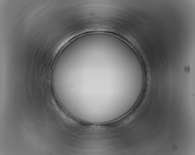 X0000110861081200906180940