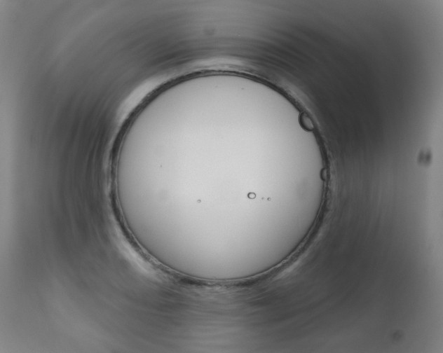 X0000110861082200906180940