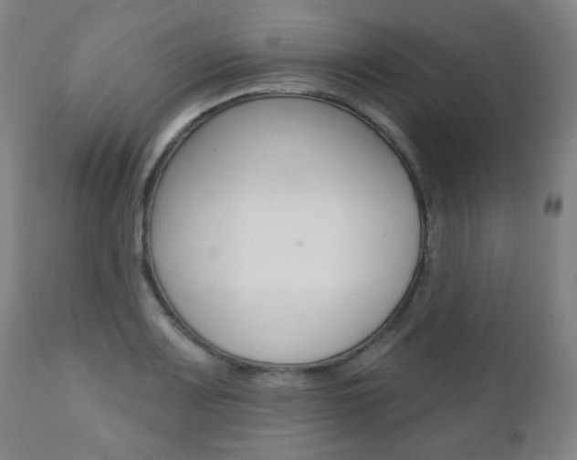 X0000110861083200906180940