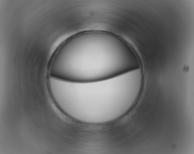 X0000110861085200906180940