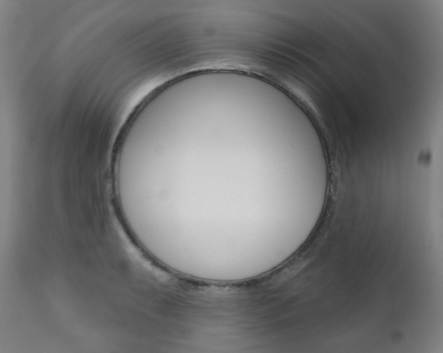 X0000110861087200906180940