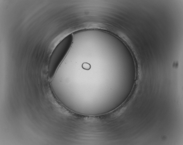 X0000110861089200906180940