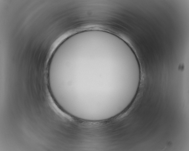X0000110861090200906180940