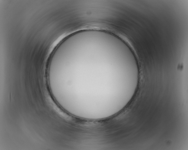 X0000110861091200906180940