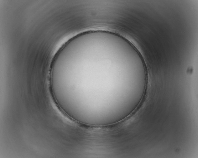 X0000110861093200906180940