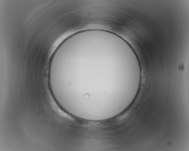 X0000110861094200906180940