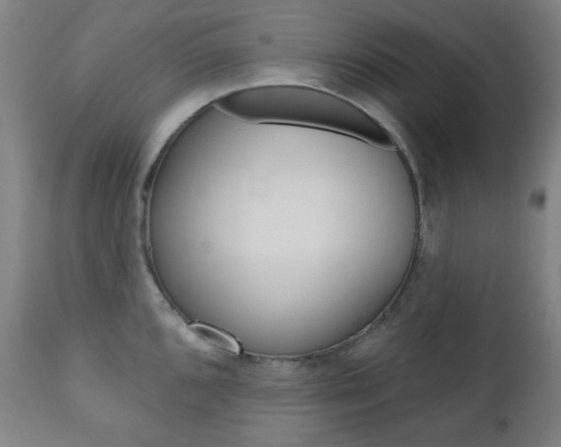 X0000110861096200906180939