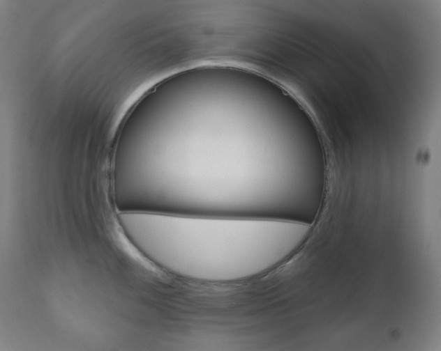 X0000110861100200906180939