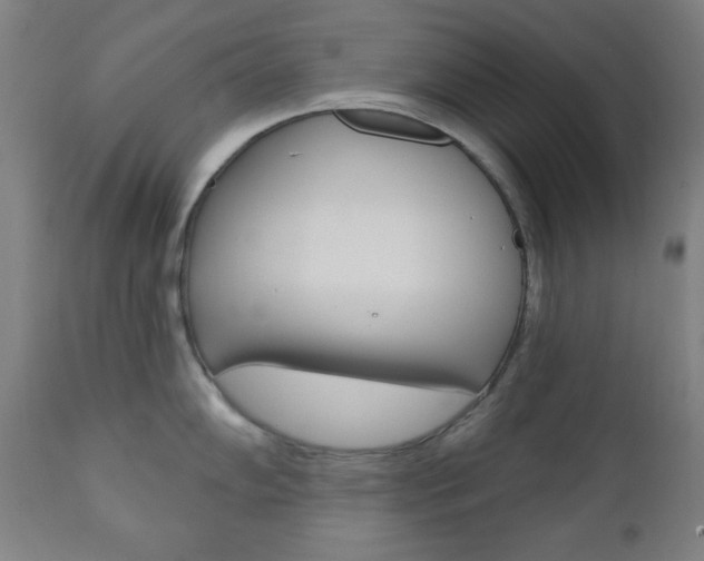 X0000110861102200906180939