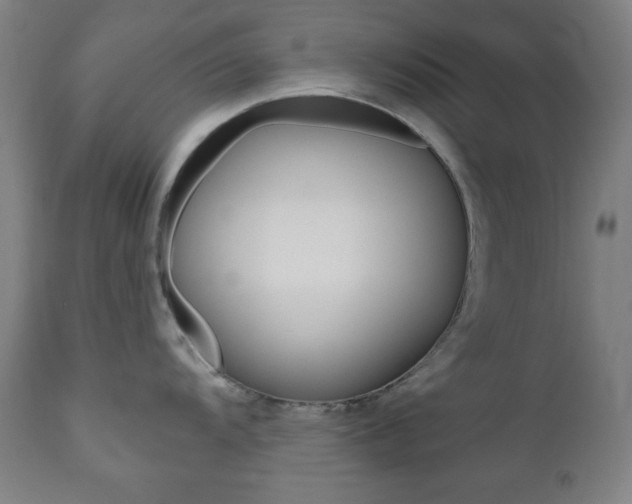 X0000110861104200906180939