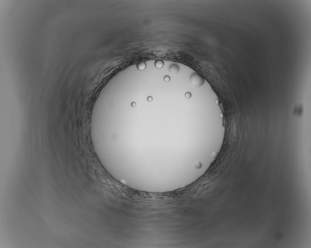 X0000110861105200906180938