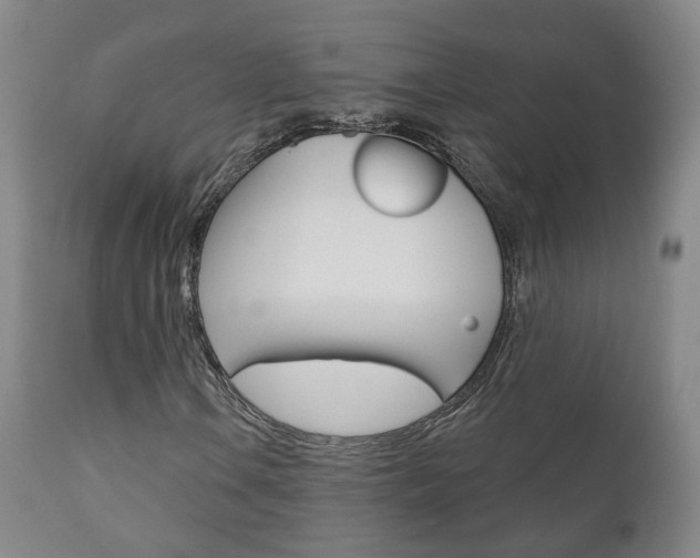 X0000110861106200906180938