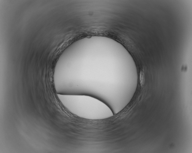X0000110861107200906180938
