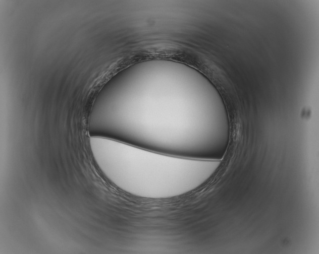 X0000110861108200906180938