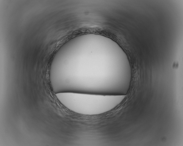 X0000110861109200906180938
