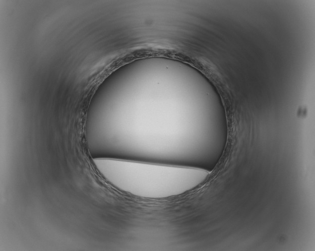 X0000110861110200906180938