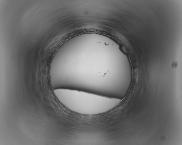 X0000110861111200906180938
