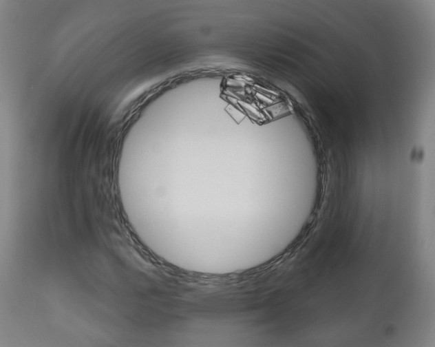 X0000110861112200906180939