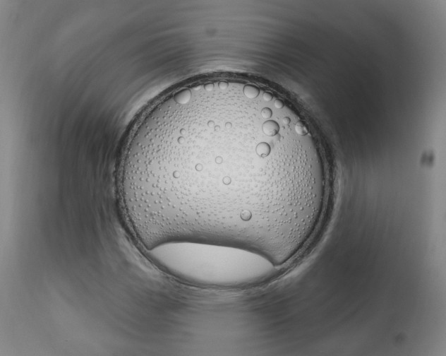 X0000110861113200906180939