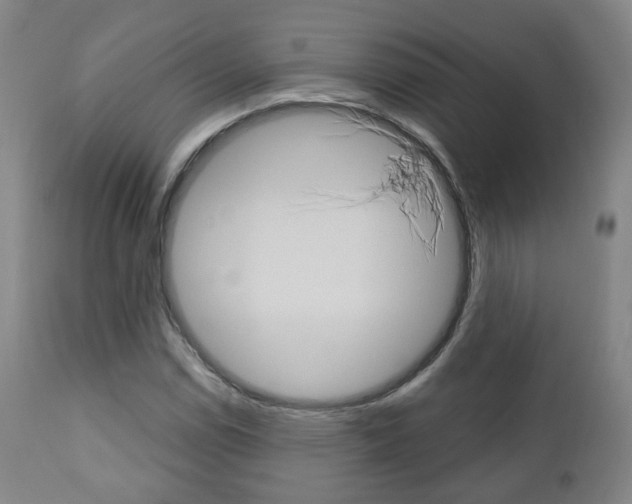 X0000110861114200906180939