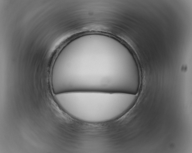 X0000110861115200906180939