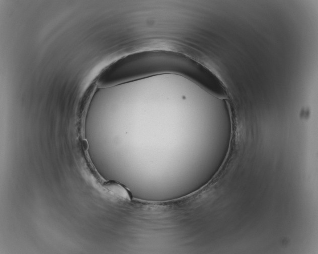 X0000110861116200906180939