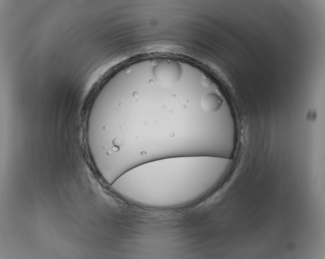 X0000110861117200906180939