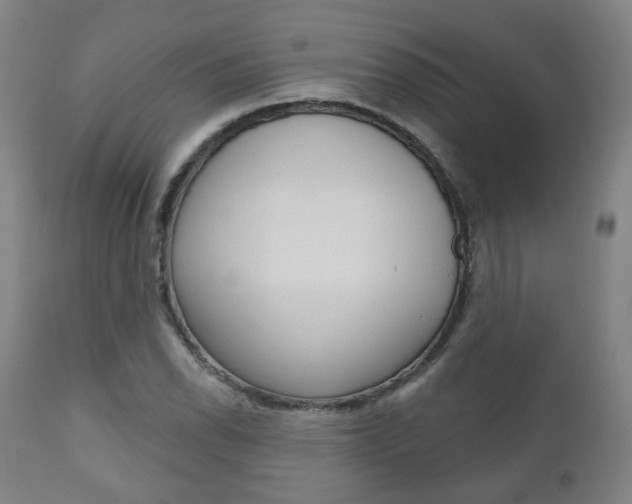 X0000110861118200906180939