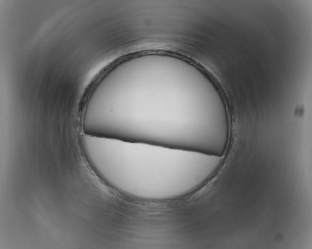 X0000110861119200906180939