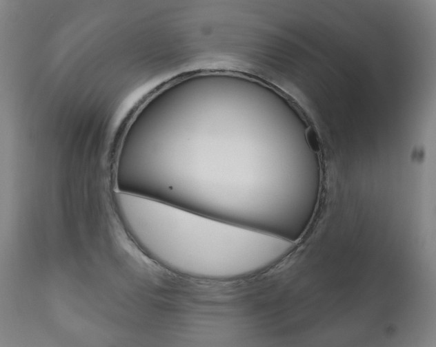X0000110861120200906180939
