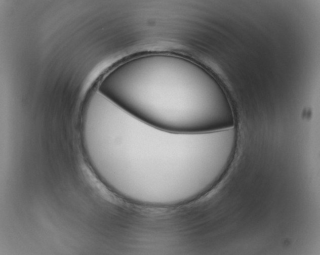 X0000110861122200906180939