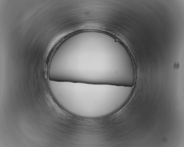 X0000110861123200906180939