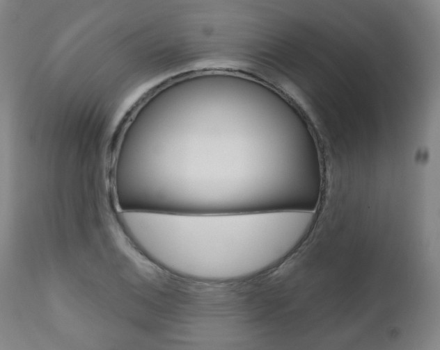X0000110861124200906180939