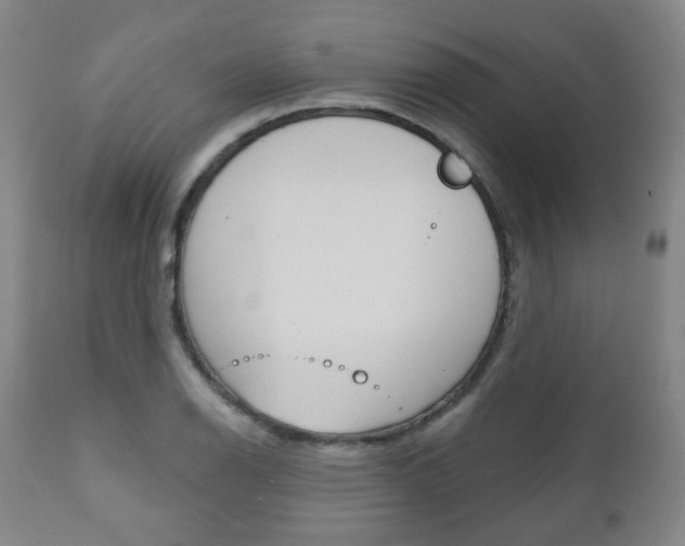X0000110861126200906180939