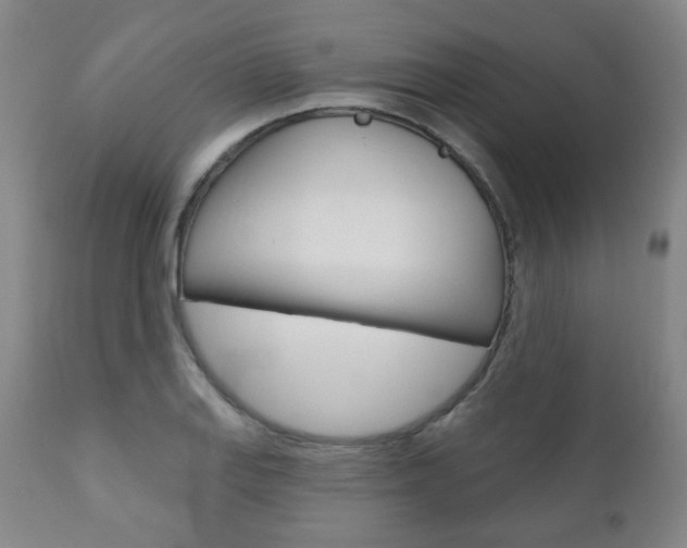 X0000110861127200906180939