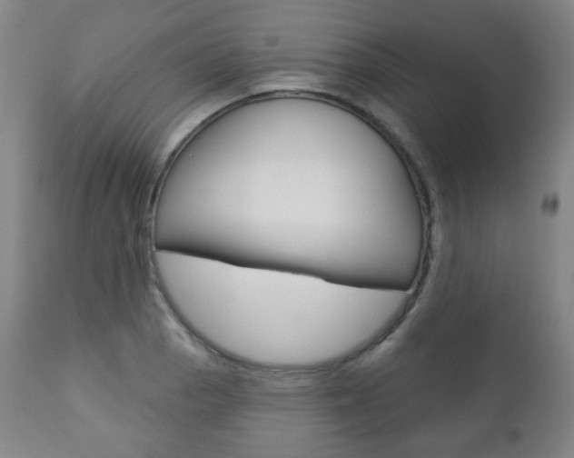 X0000110861129200906180939