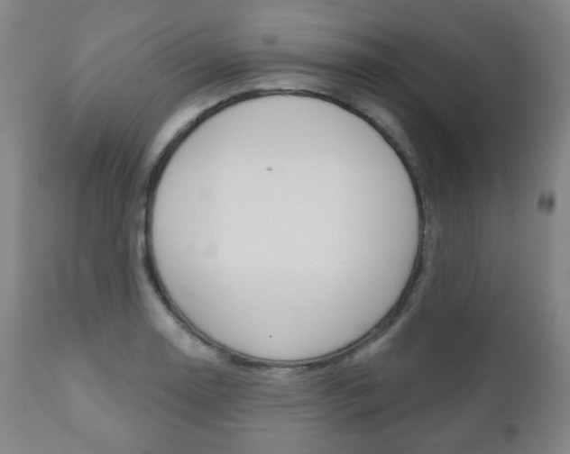 X0000110861130200906180939