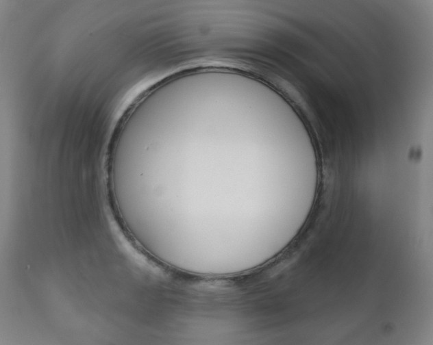 X0000110861133200906180939