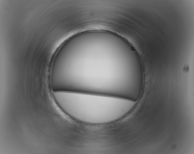 X0000110861134200906180939